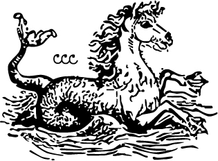 Companion Curriculum
